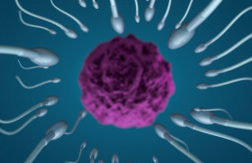Comment conserver les chances de procréation naturelle ?