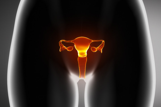 Du nouveau en contraception d’urgence : DIU au lévonorgestrel